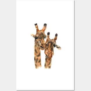 Pair of Giraffes Posters and Art